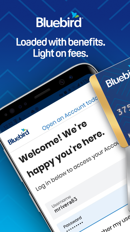Bluebird Screenshot1