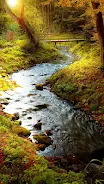 Forest Live Wallpaper Screenshot5