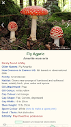 Shroomify Screenshot1