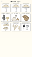 Shroomify Screenshot7