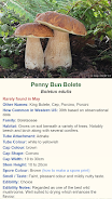 Shroomify Screenshot4