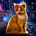 Stray Cat Game City Simulator Apk