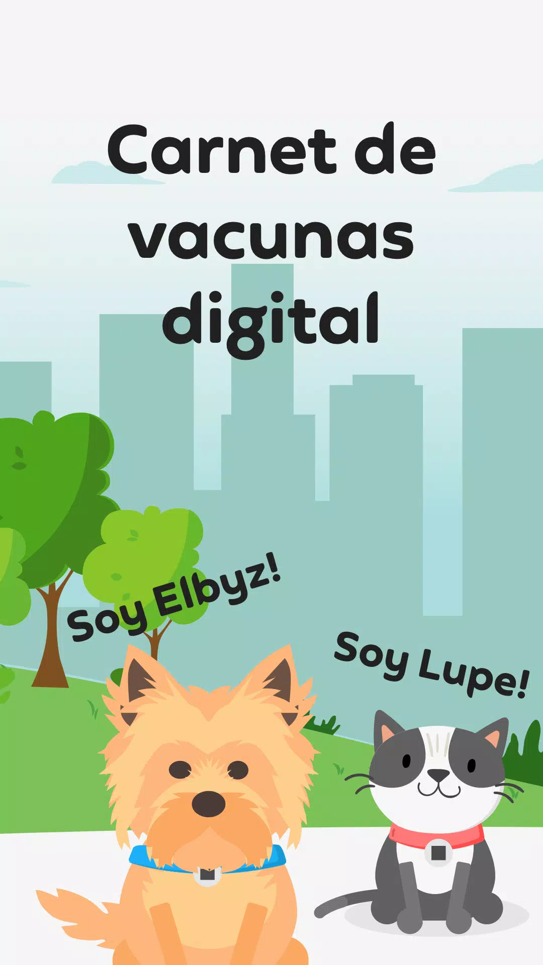 Qrarte Screenshot6