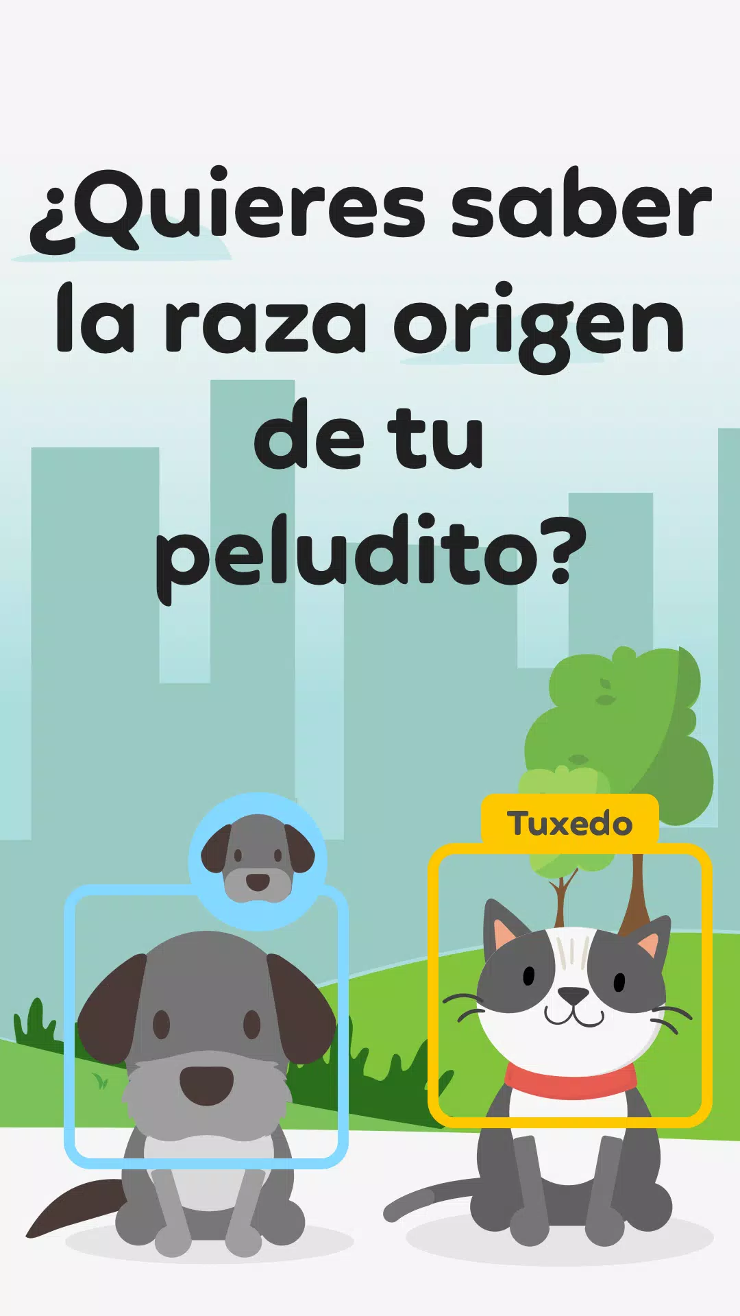 Qrarte Screenshot7