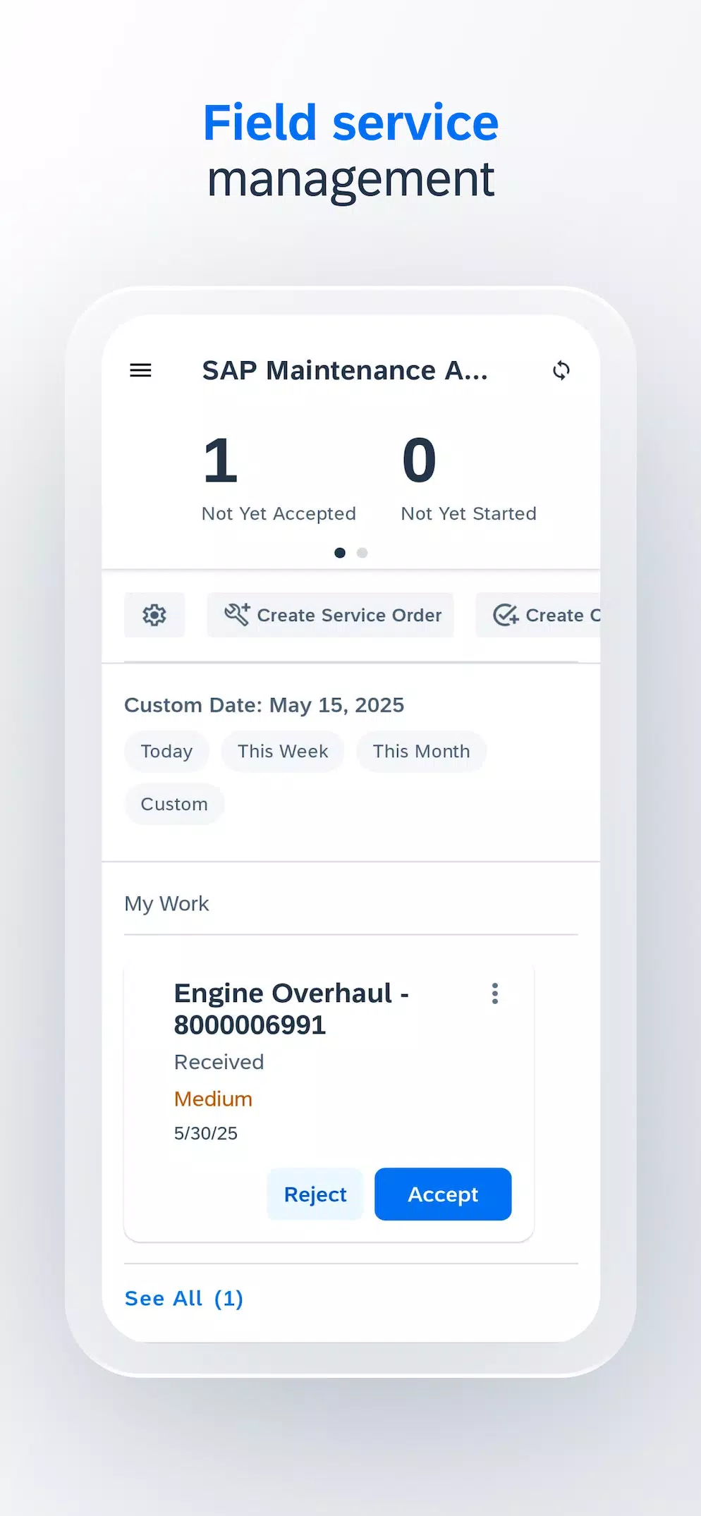 SAP Maintenance Assistant Screenshot5