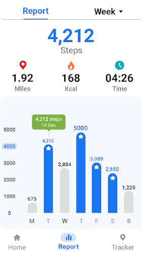 Pedometer - Step Tracker Screenshot8