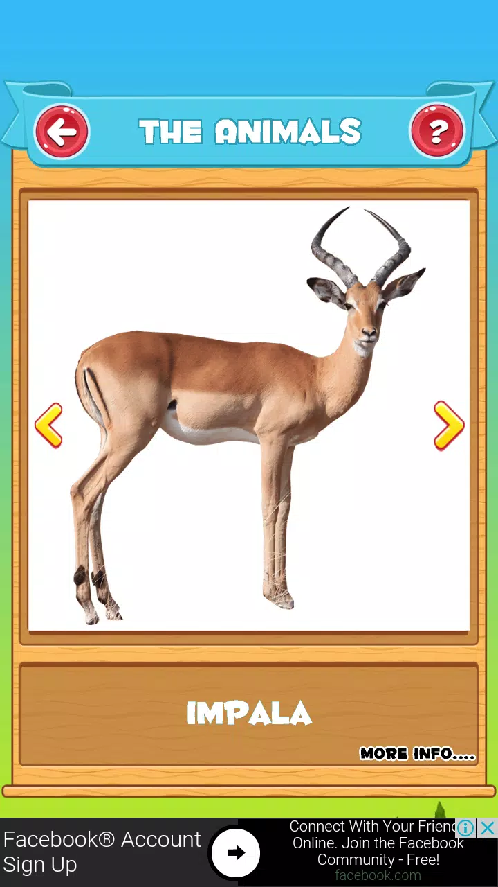 Learn the Animals Screenshot8