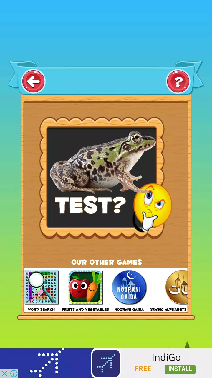 Learn the Animals Screenshot7