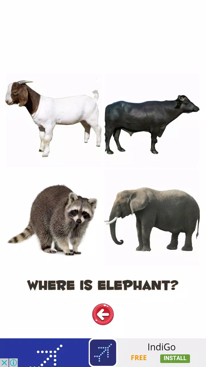 Learn the Animals Screenshot2