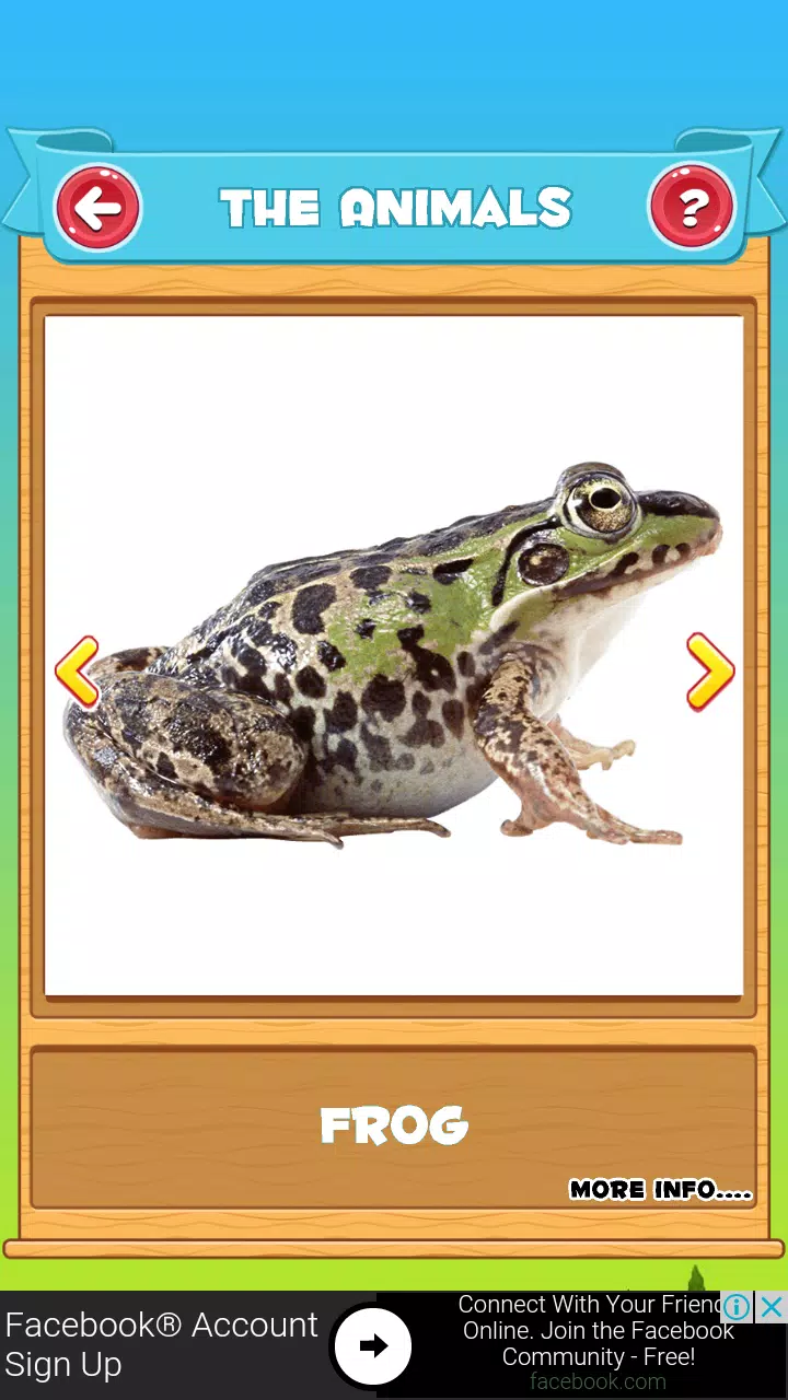 Learn the Animals Screenshot1