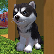 Cute Pocket Puppy 3D - Part 2 Apk