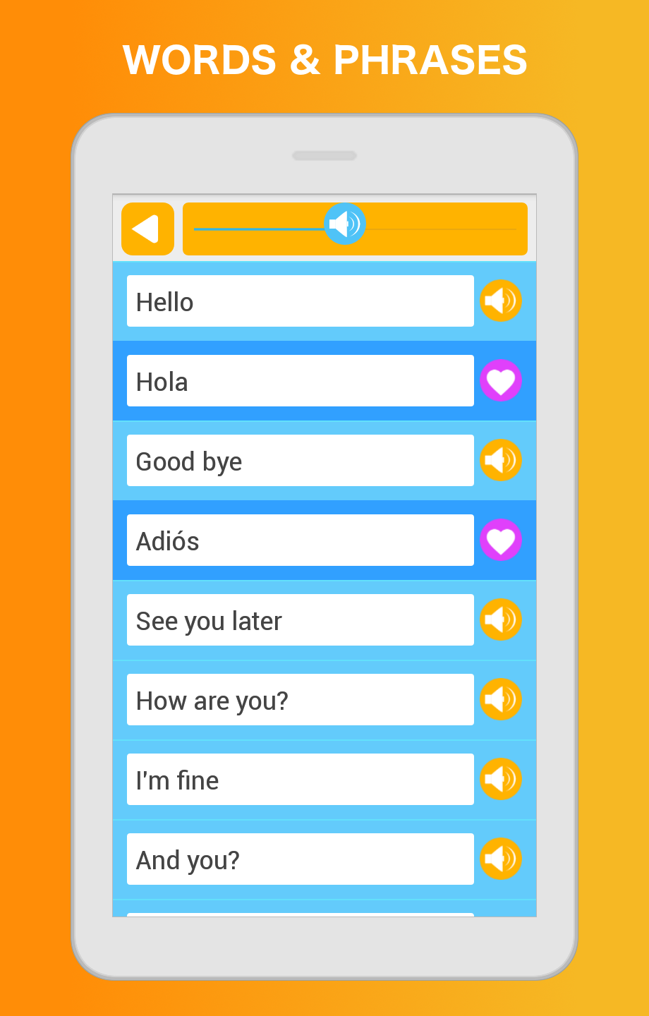 Learn Spanish Language Screenshot7