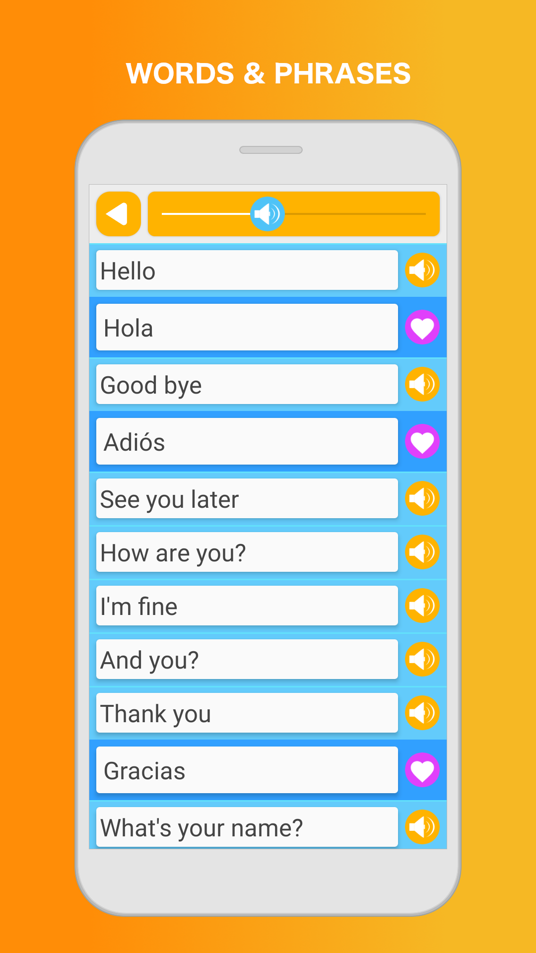 Learn Spanish Language Screenshot3