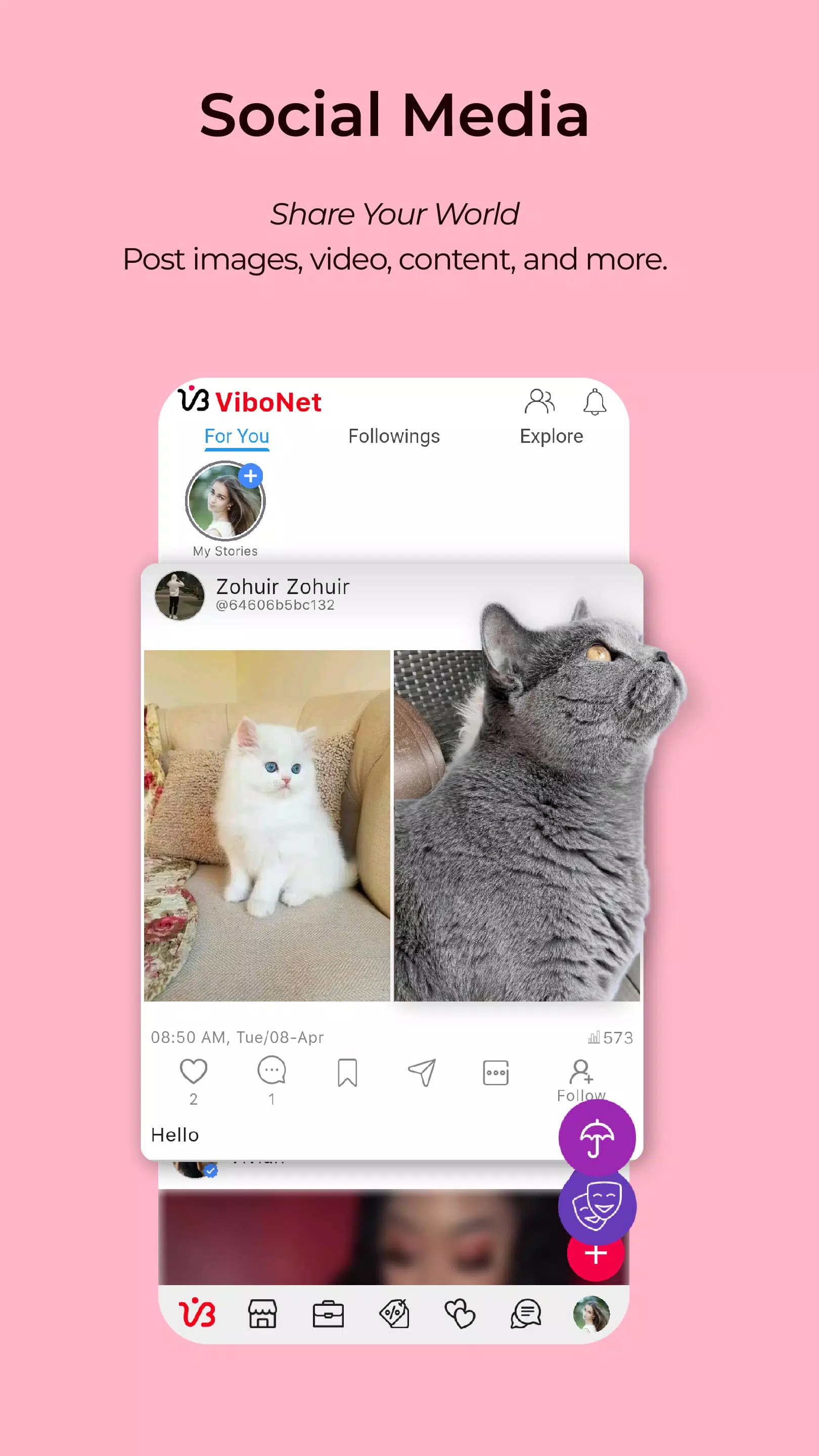 ViboNet Screenshot2