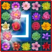 Onet Blossom APK