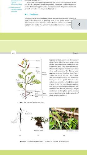 Class 11 Biology NCERT Book Screenshot2