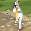 Cricket Bat Ball Game 3D 2024 APK