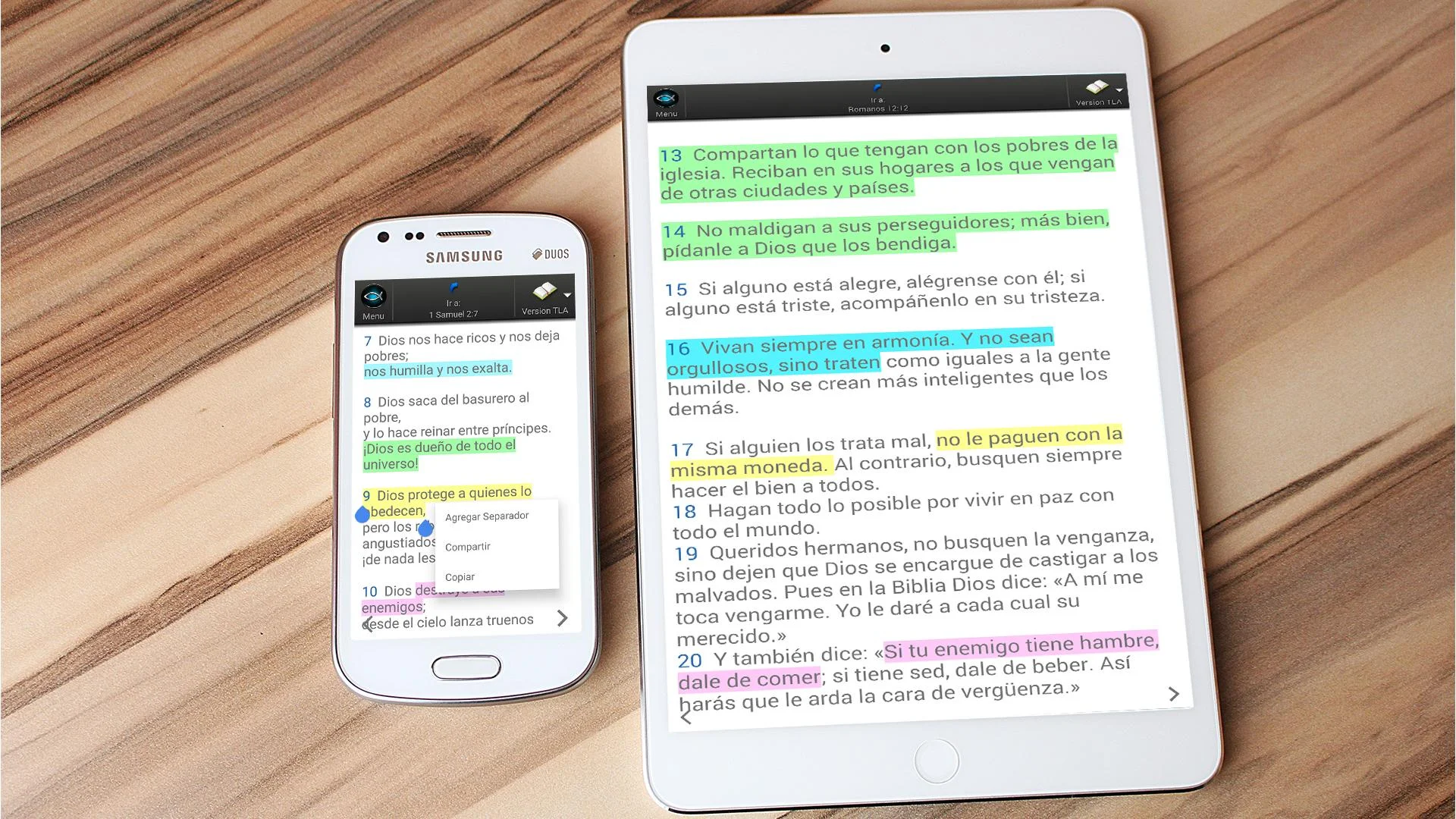 CeluBiblia AIO Screenshot6