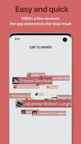 Cat Scanner: Breed Recognition Screenshot3