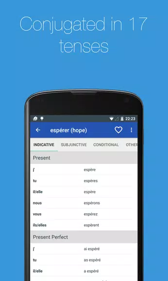 French Verb Conjugator Screenshot3