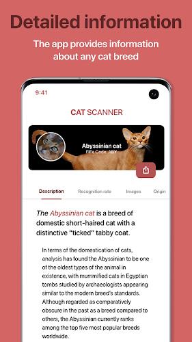 Cat Scanner: Breed Recognition Screenshot8