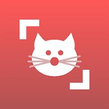 Cat Scanner: Breed Recognition APK