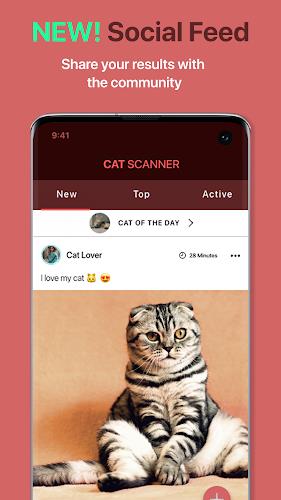 Cat Scanner: Breed Recognition Screenshot4