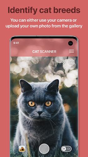 Cat Scanner: Breed Recognition Screenshot1