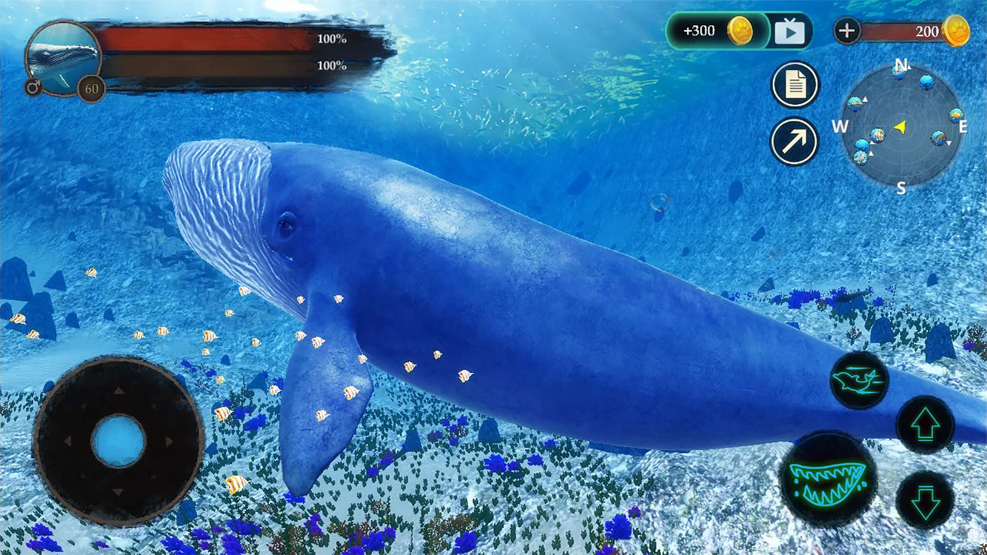 The Blue Whale Screenshot2