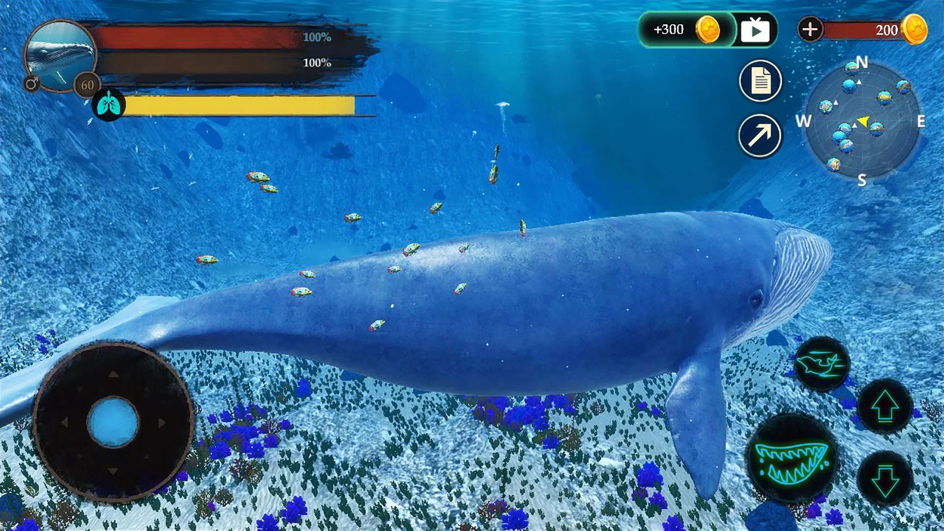 The Blue Whale Screenshot4