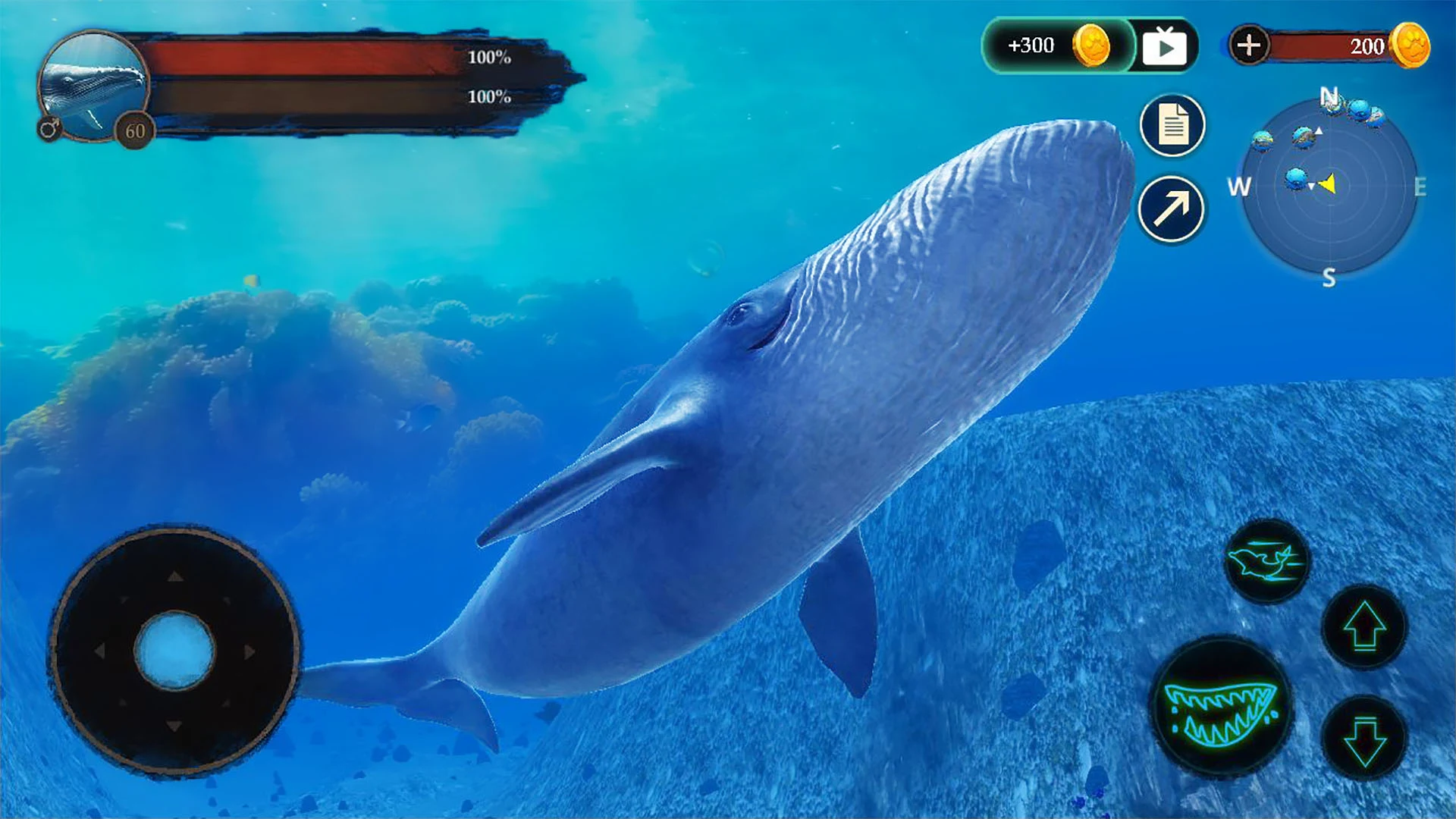 The Blue Whale Screenshot3