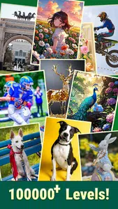 Jigmerge Puzzles Screenshot5