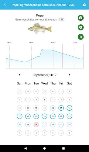 Fish Planet Calendar Screenshot5