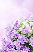 Lilac Flowers Live Wallpaper Screenshot2
