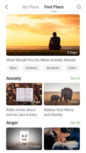 King James Bible Screenshot4