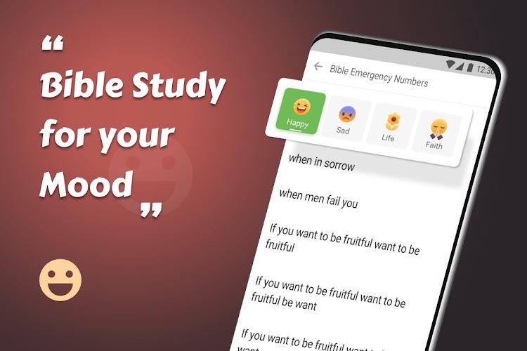 King James Bible Screenshot18