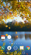 Falling Leaves Live Wallpaper Screenshot3