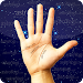 Palm Reading Apk