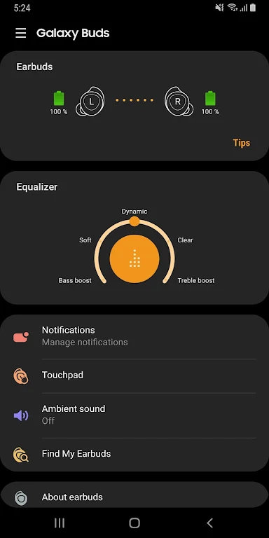 Galaxy Buds Manager Screenshot4