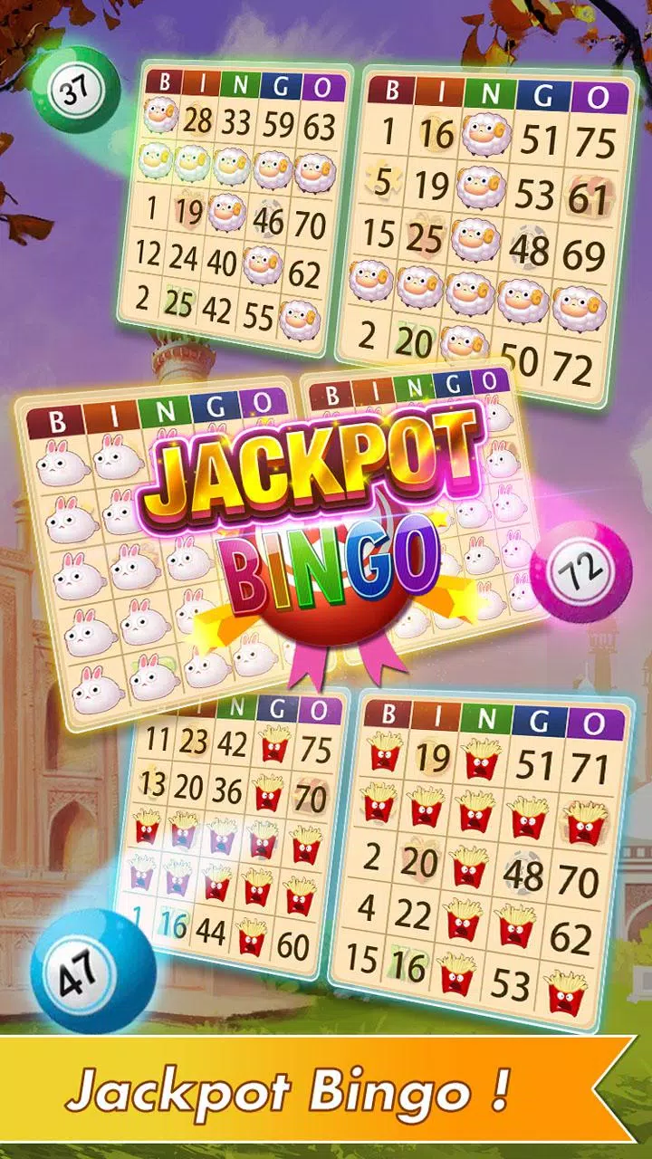 Trivia Bingo USA Bingo Games Screenshot4