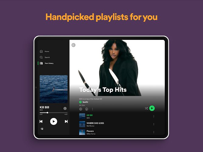 Spotify Screenshot17