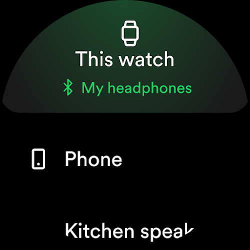 Spotify Screenshot25