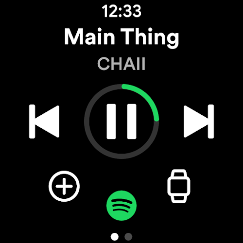 Spotify Screenshot21