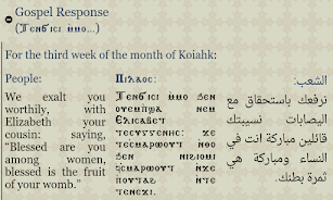 Coptic Reader Screenshot2