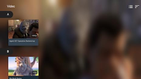 VLC for Android Screenshot26