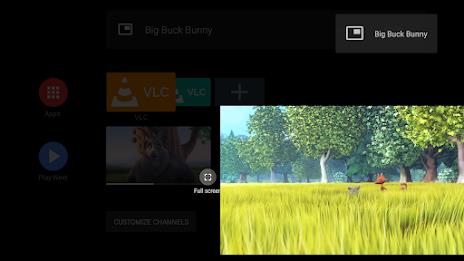 VLC for Android Screenshot31