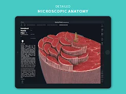 Complete Anatomy 2024 Screenshot24