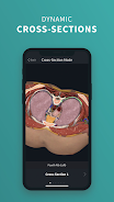 Complete Anatomy 2024 Screenshot7