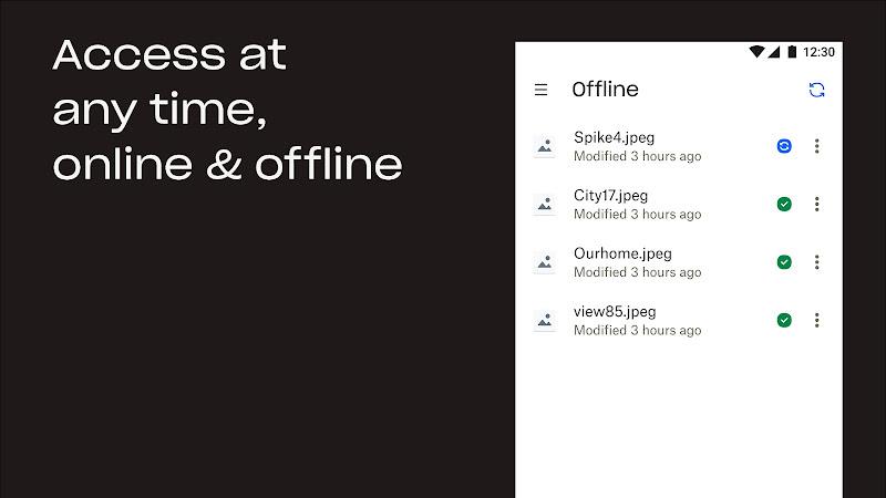 Dropbox: Cloud Storage Drive Screenshot5