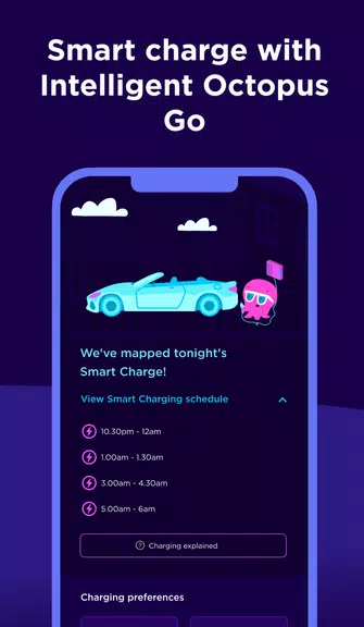 Octopus Energy Screenshot4